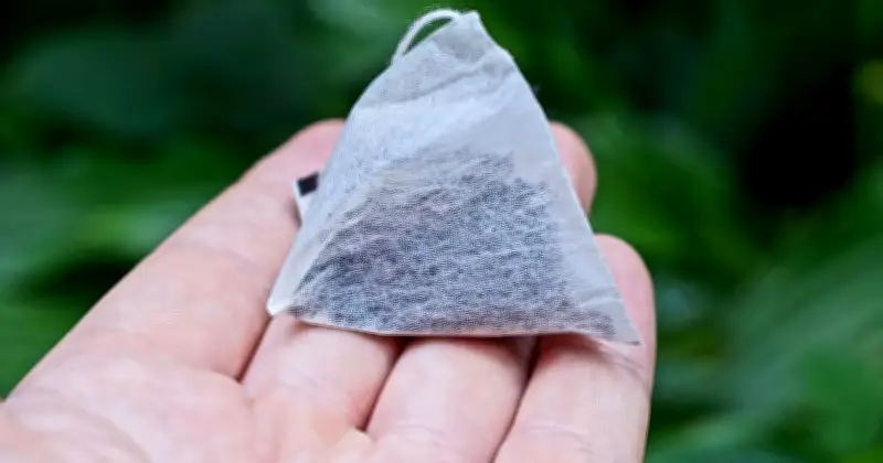 Gardeners Urged to Reuse Teabags in June for Healthier Flowers