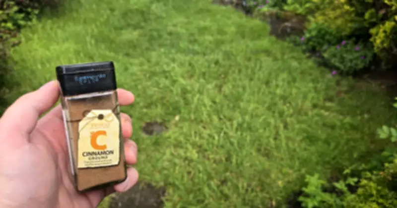 Gardeners Urged to Sprinkle Cinnamon Powder on Lawns in June for Natural Boost