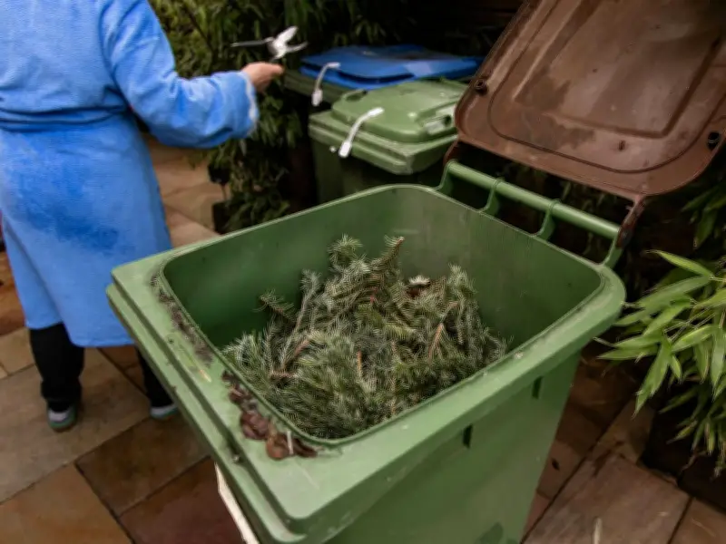 Gardeners Warned: Do Not Bin These 3 Invasive Plants