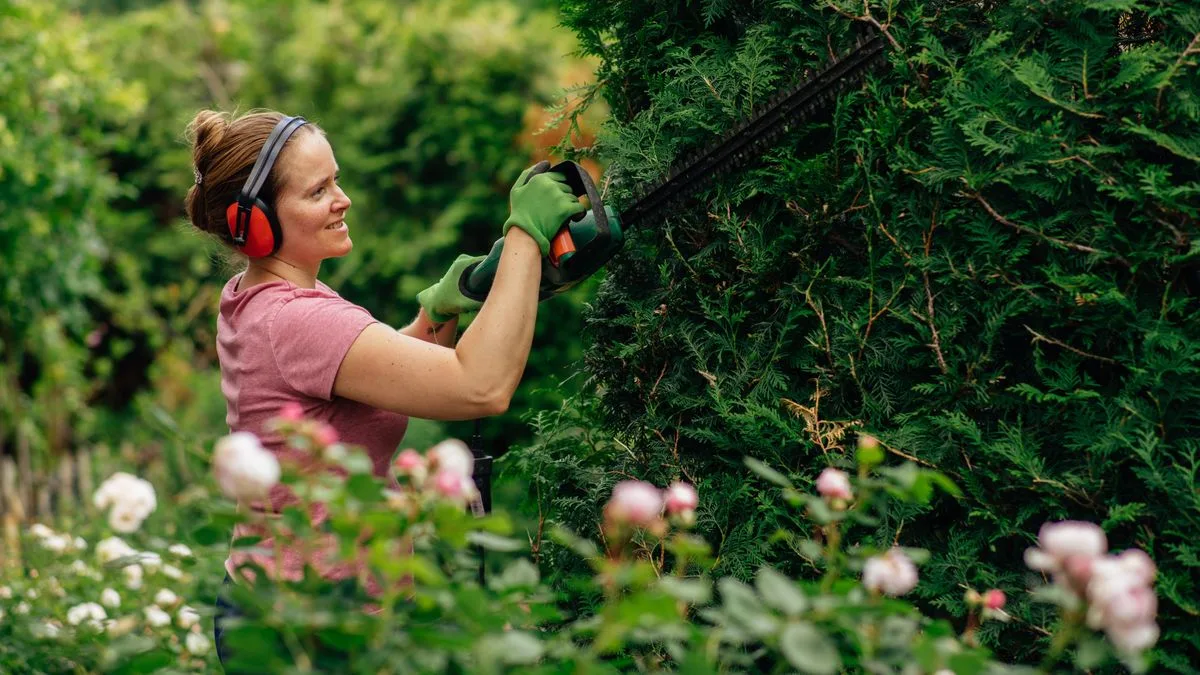 Gardeners Warned Not to Trim Hedges in June for Surprising Reason