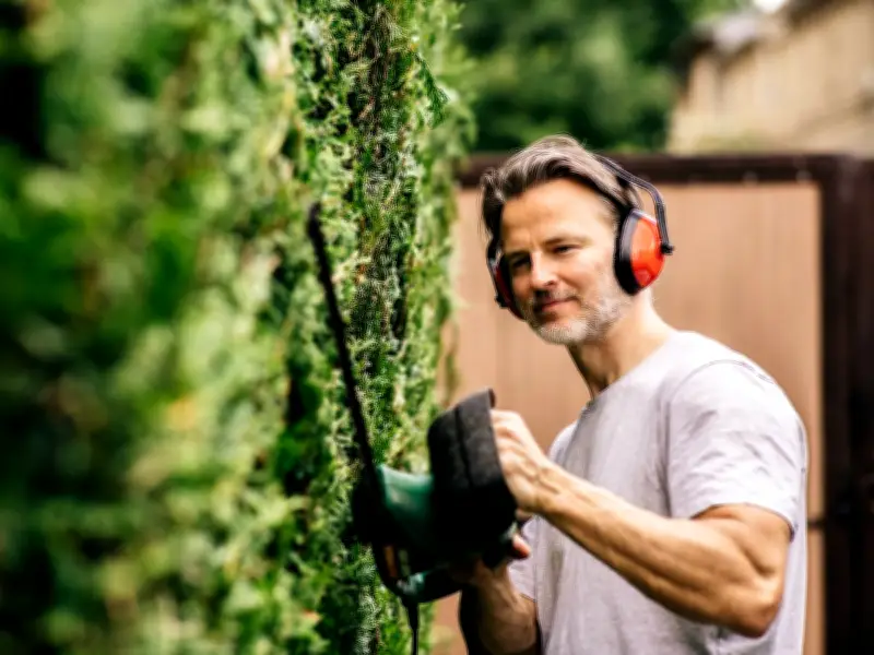 Gardeners Warned Not to Trim Hedges in July to Avoid Breaking Law