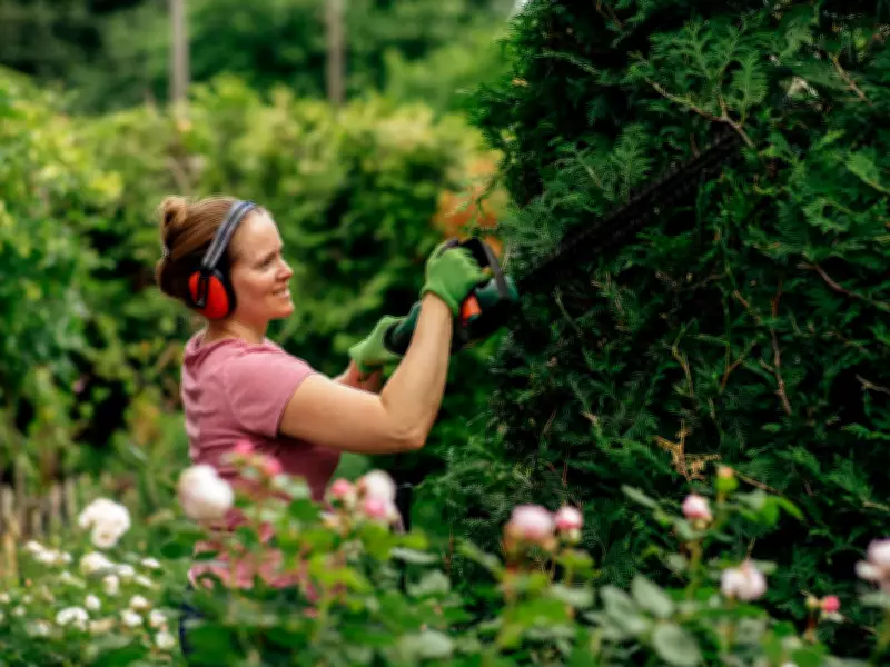 Gardeners Warned Not to Trim Hedges in June for Surprising Reason