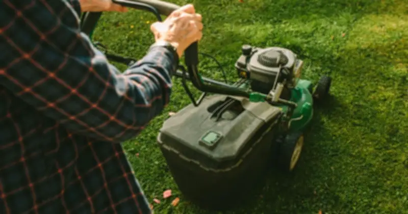 Gardeners' World Expert Shares 4 Tips to Boost Your Lawn in Late June