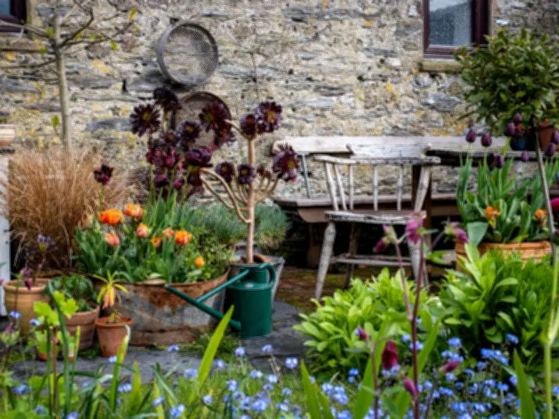 Gardening Expert Reveals 5 Beginner-Friendly Vegetables to Plant in June