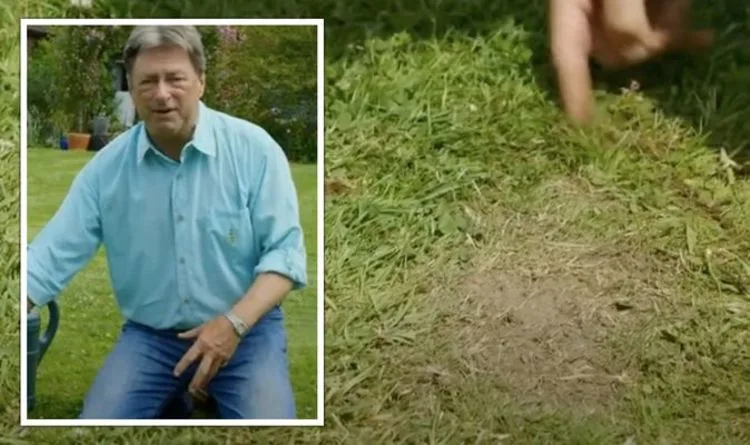 Alan Titchmarsh's Simple Method to Fix Bare Lawn Patches