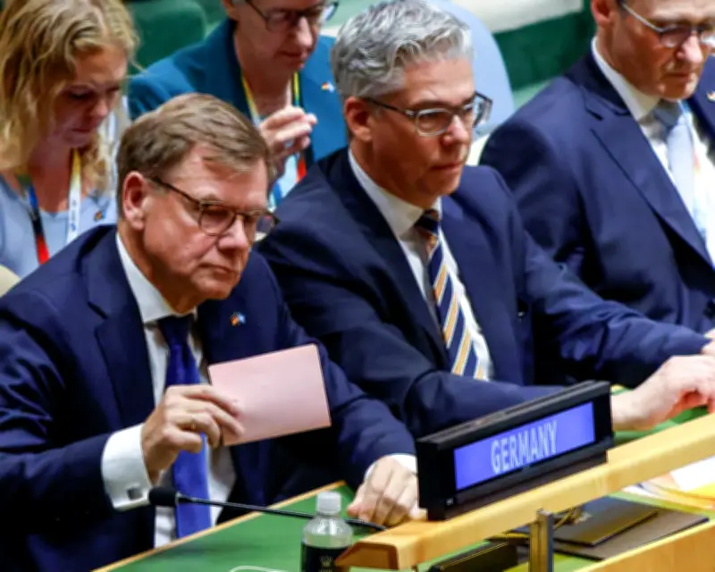 Germany's UN Security Council Snub May Lead to Funding Review