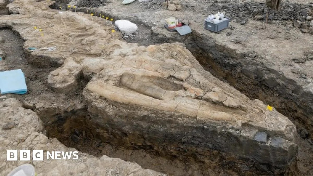 Challenges of Preserving Rutland's Giant Ichthyosaur Fossil Revealed