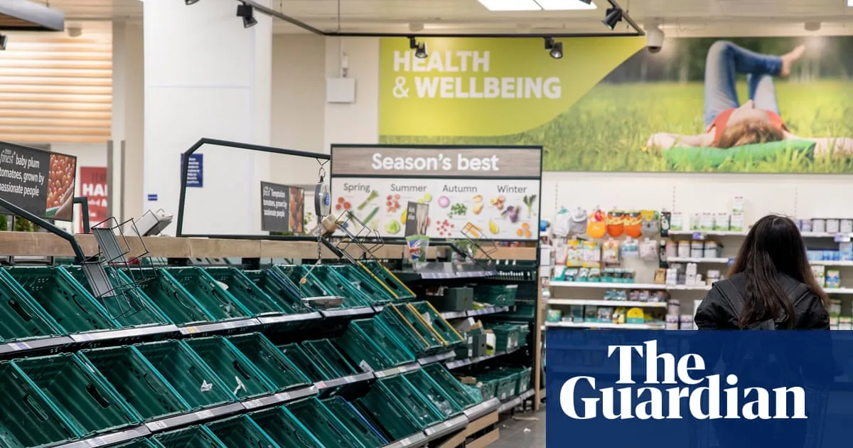 ‘Tinderbox’ UK may be one shock away from food riots, experts say