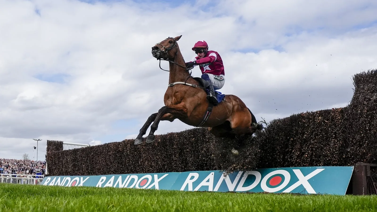 Gold Dancer Euthanised After Breaking Back in Aintree Win
