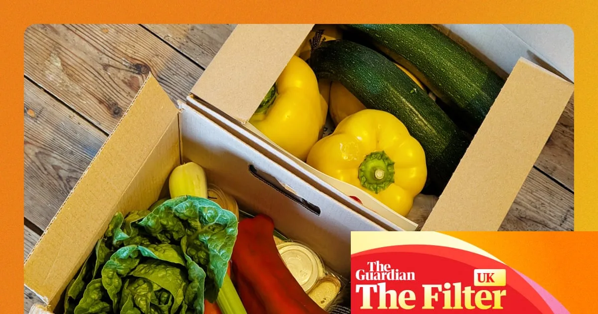 Best Recipe Boxes and Meal Kits for Time-Poor Foodies: Tested