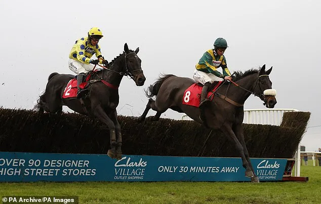 Yala Enki Set for Grand National Trial Despite Storm Dennis Winds