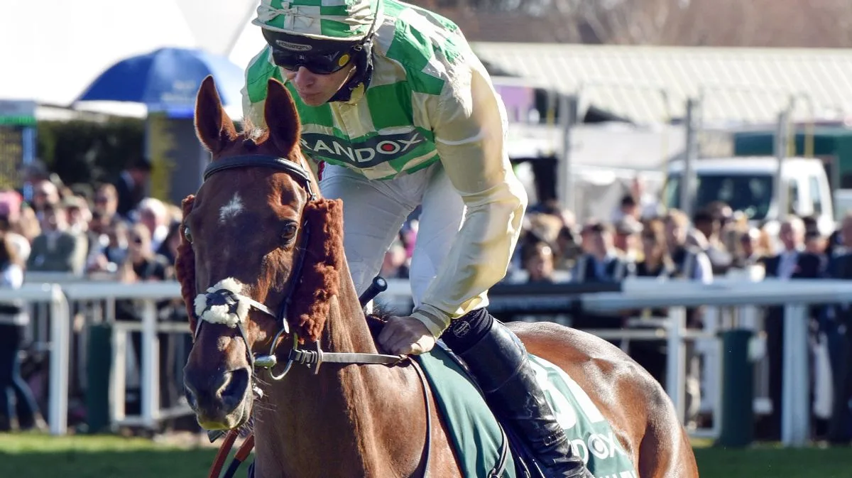 Grand National Horse Dies After Jockey Banned for Continuing on Tired Animal