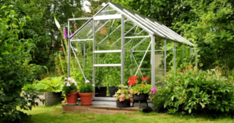 Greenhouse Owners Urged to Protect Dogs from Heatstroke Before Tuesday