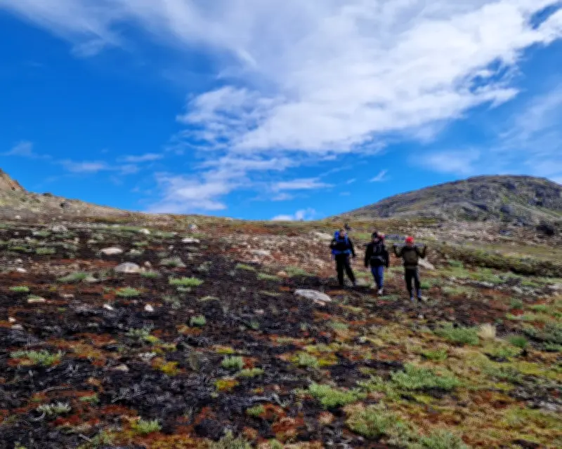 Greenland Wildfires Spark Alarm as Two Blazes Hit Arctic Island in a Week
