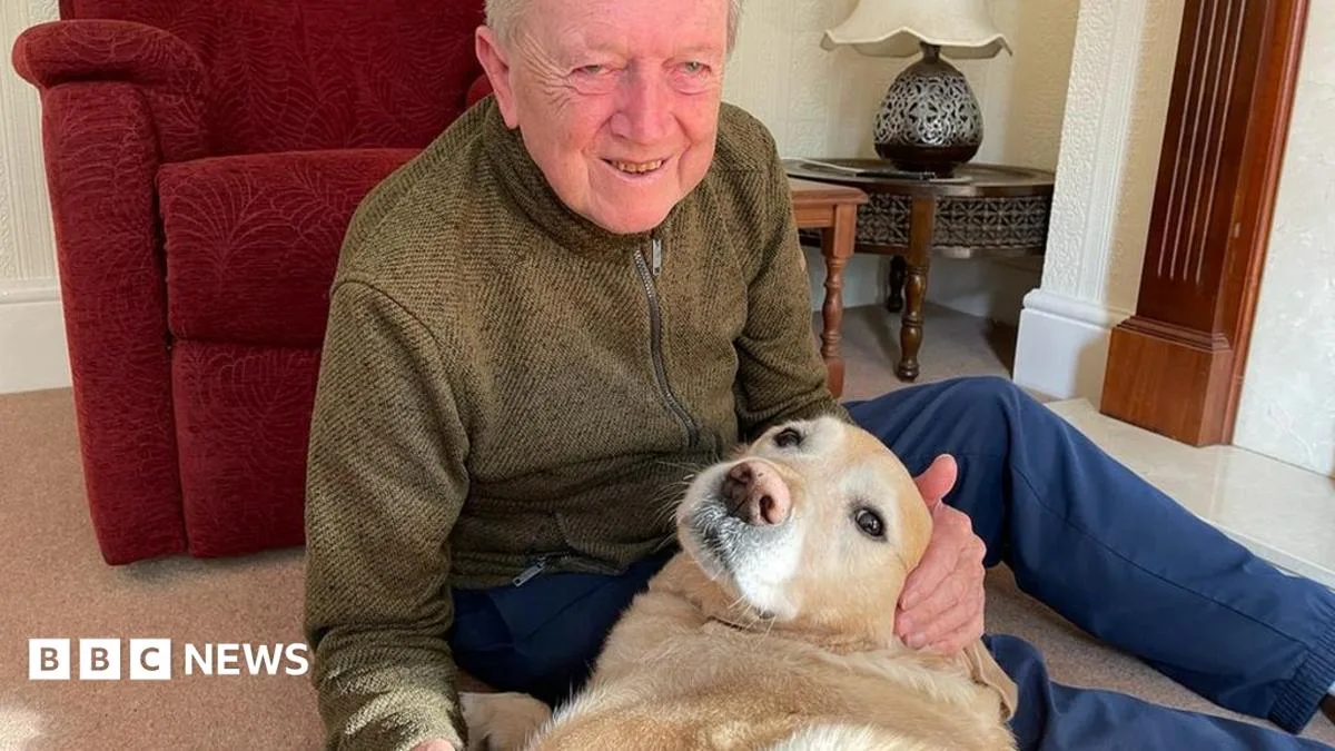 Guide Dog Waiting Times Reach Two Years Amid Crisis