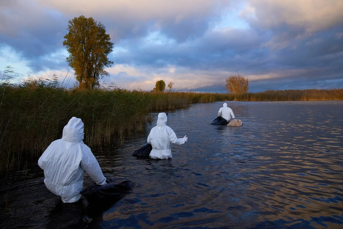 H5N1 Bird Flu Cases Rise In Europe: What You Need To Know