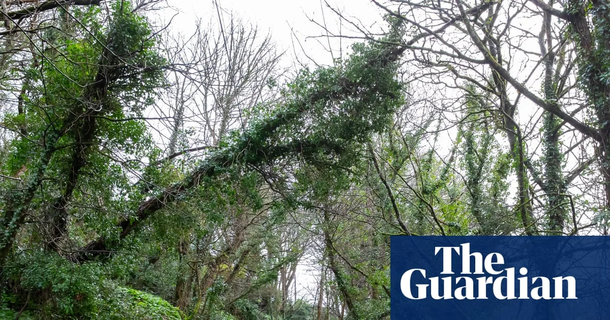 Cornwall Broadband Still Down Weeks After Storm Goretti, Residents Feel 'Forgotten'