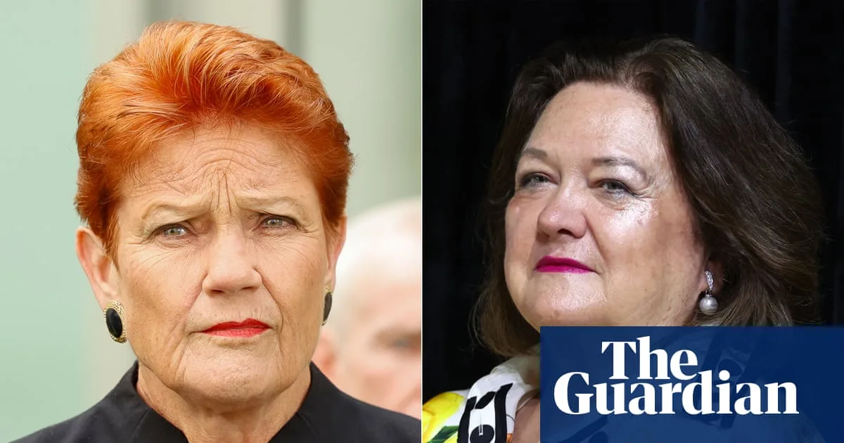 Pauline Hanson Breaches Senate Rules Over Undeclared Rinehart Jet Flight