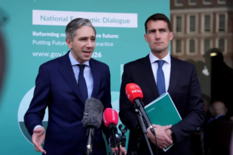 Harris: No Single Party Owns Irish Unity Conversation