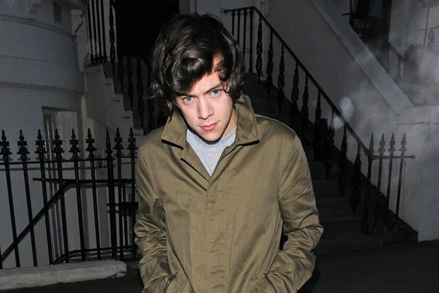 Harry Styles Cancels Date with Model Millie Brady