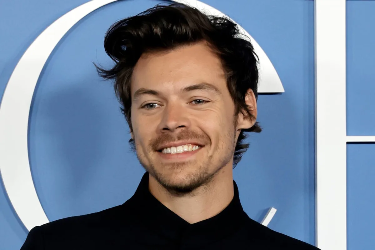 Harry Styles Faces Neighbour Complaints Over £30m Hampstead Mansion Renovation