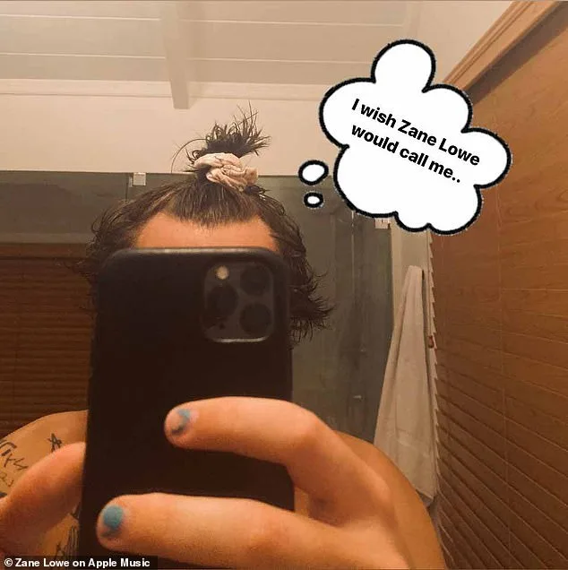 Harry Styles Reveals Real Reason For Going Underground