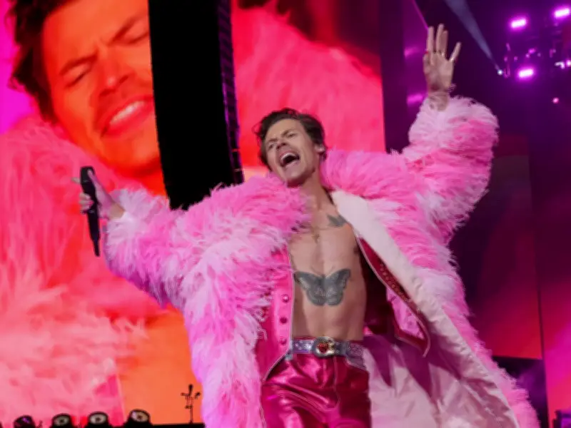 Harry Styles' Success 'Not Accidental' as Reason for Fame Revealed
