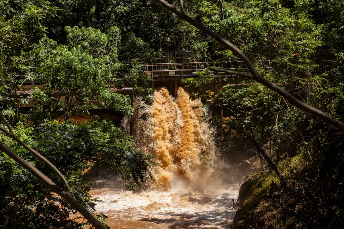 Hawaii to Take Over 120-Year-Old Dam After Evacuation Scare