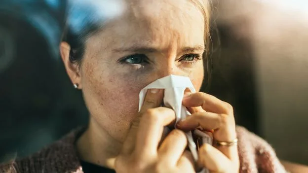 Hay Fever Sufferers Could Save £10 a Month on Medication