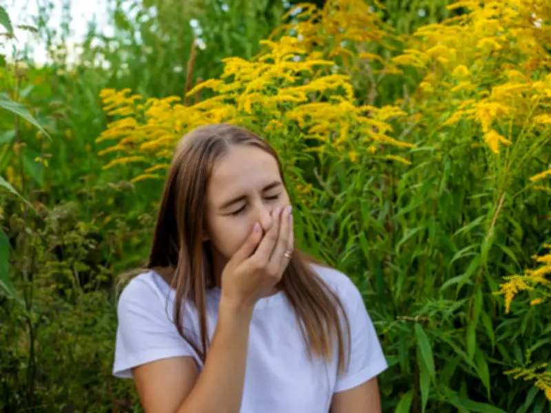 Heatwave Health Warning for Hay Fever Meds: Benadryl, Clarityn, Piriteze Risks
