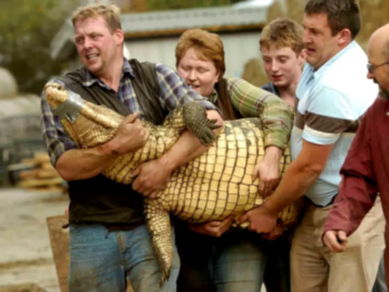 Heroic Zookeeper and Family Save Boy Thrown into Crocodile Pit