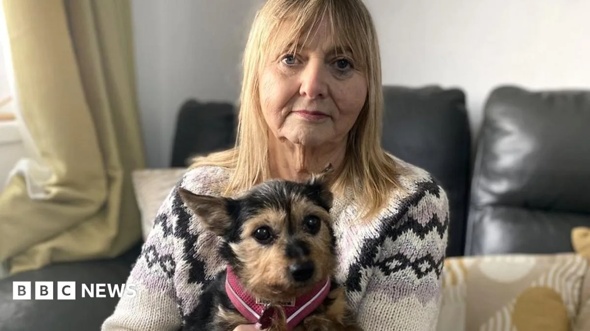 Heartless Scammers Prey on Owners of Lost Pets