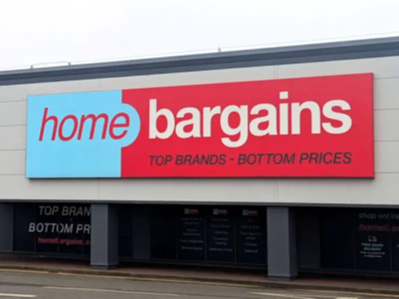 Home Bargains £2.99 Over Door Bin Beats £25 B&Q Option