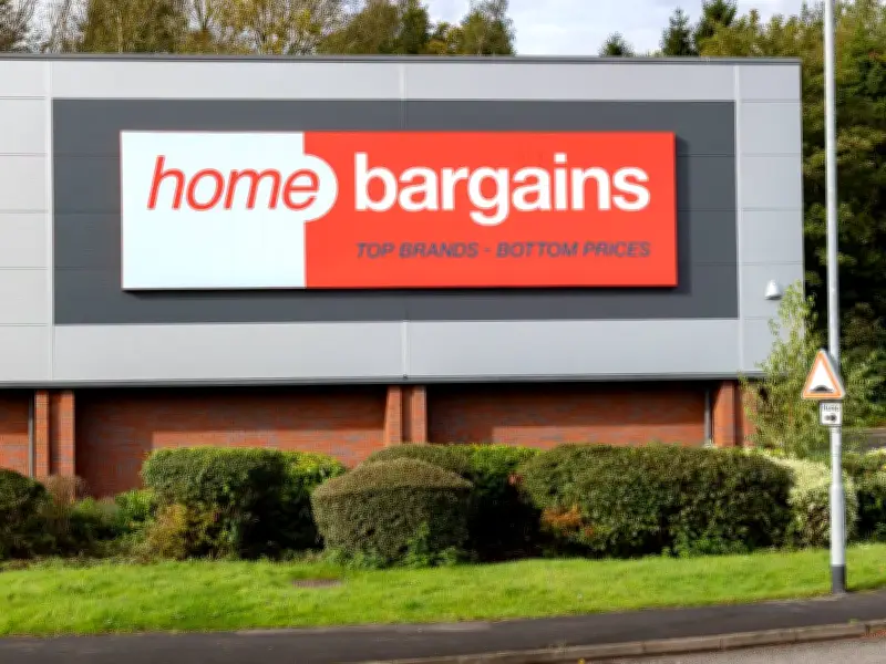Home Bargains £30 Garden Chair: Stylish Lounger in Two Colours