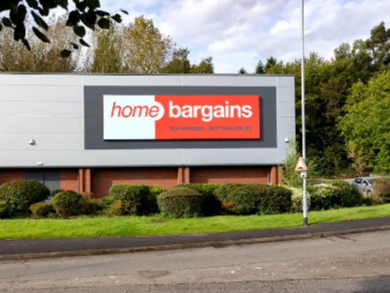 Home Bargains' £6 'Natural' Garland Stuns Shoppers for Doors and Windows