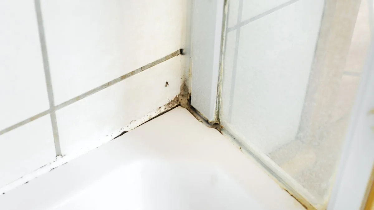 Homemade Solution Banishes Shower Mould and Water Marks