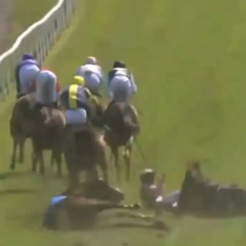 Horse Dies, Jockey Hospitalised After Horrific Brighton Racecourse Collision