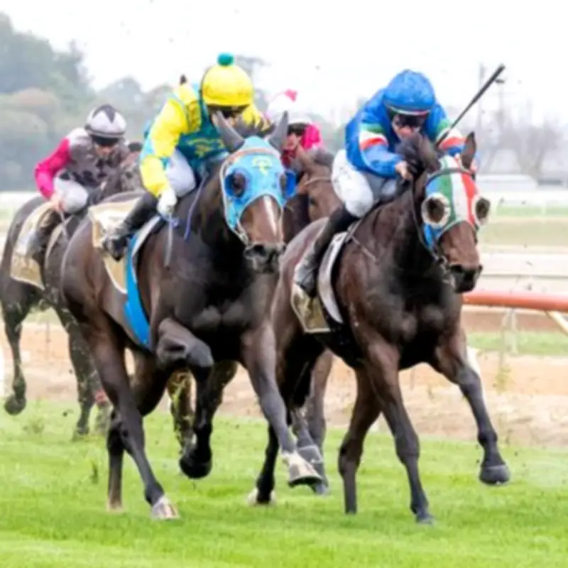 Horse Racing Chaos: Heatwave Forces Abandonment of Four Meetings