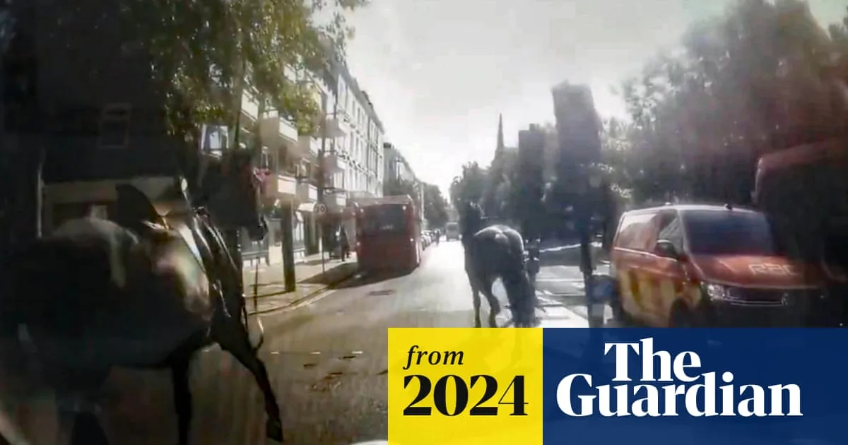 Military horses bolt through London again after three break loose