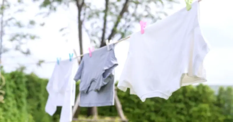 Households in England Urged Not to Dry Clothes on Washing Lines from Wednesday