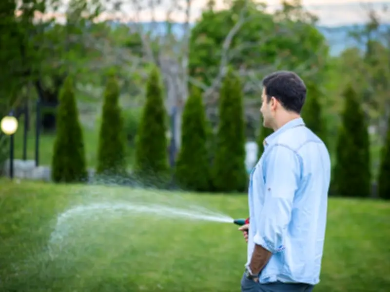 How and When to Water Your Plants During a UK Heatwave