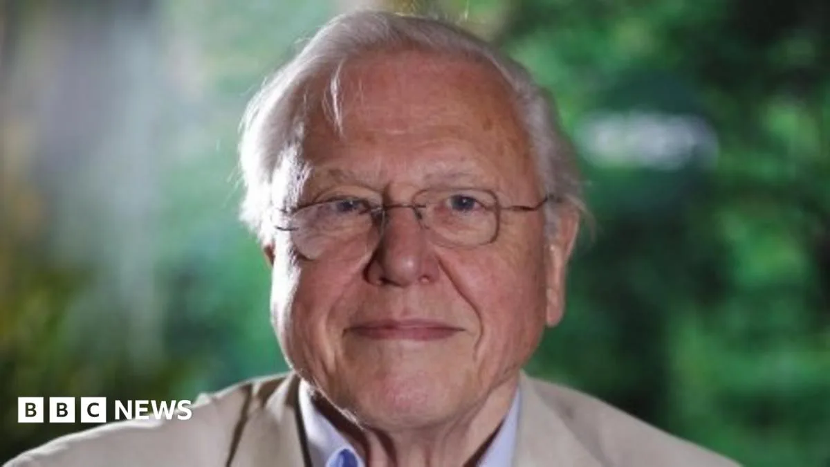 Sir David Attenborough Cancels Australian Tour for Heart Surgery