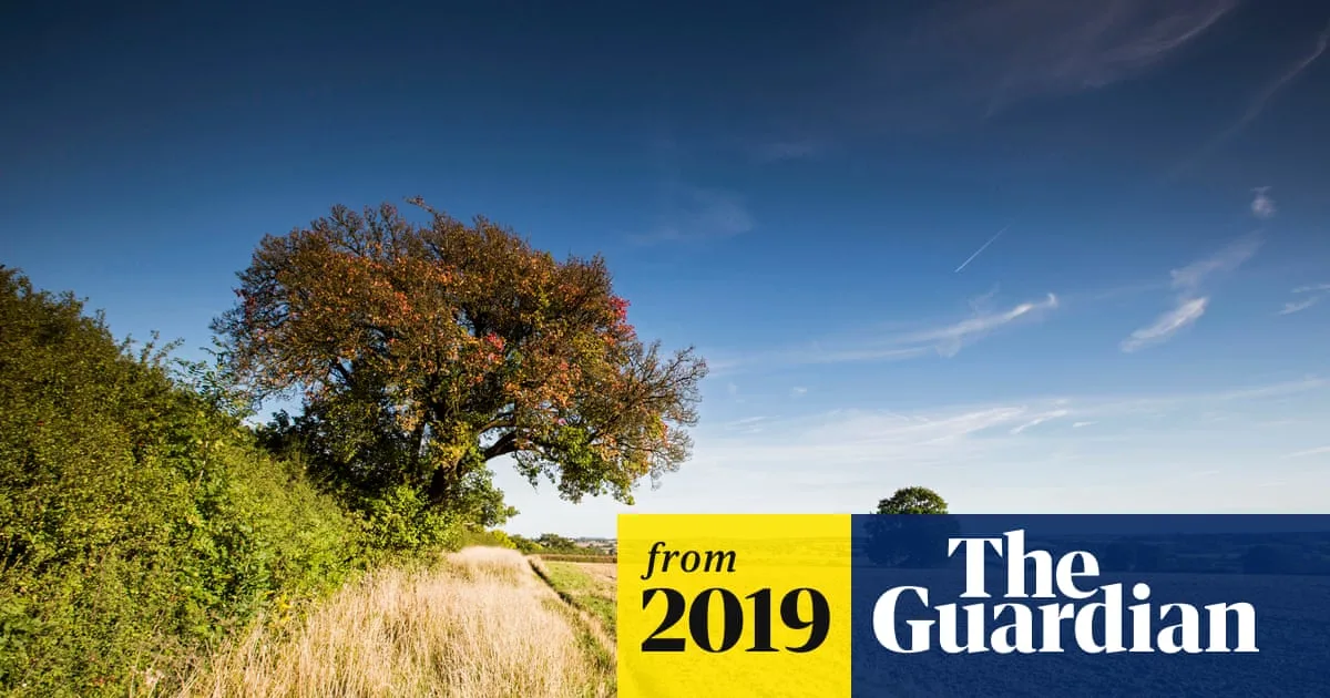 HS2 Project Threatens Ancient Staffordshire Woodland