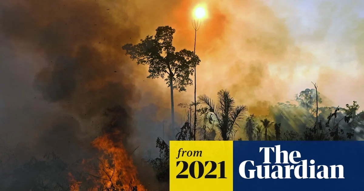 Scientists Warn of 'Ghastly Future' as Human Extinction Threat Looms