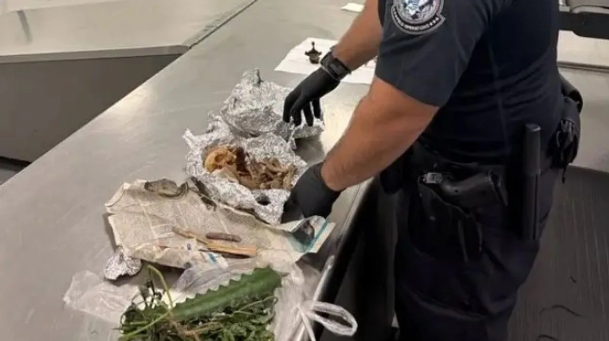 Human Remains Found in Luggage at Tampa Airport