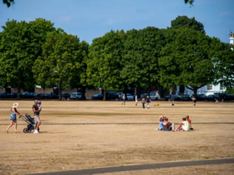 I Moved to the UK From a Hotter Island, but the Heatwaves Here Are Worse