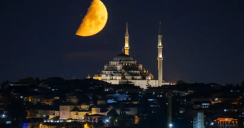 I Visited Istanbul for 'Turkey Teeth' and Found a City Full of History and Culture