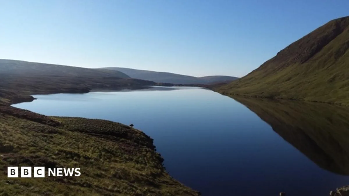 Ice Age fish thriving in Scottish loch after reintroduction