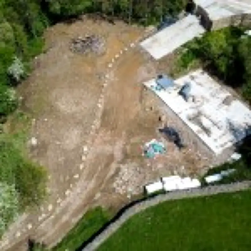 Illegal Holiday Cottages on Ancient Woodland Must Be Torn Down