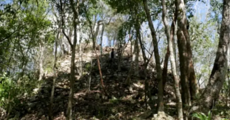 Intact Mayan City Minanbe Discovered in Mexican Jungle After 1,000 Years